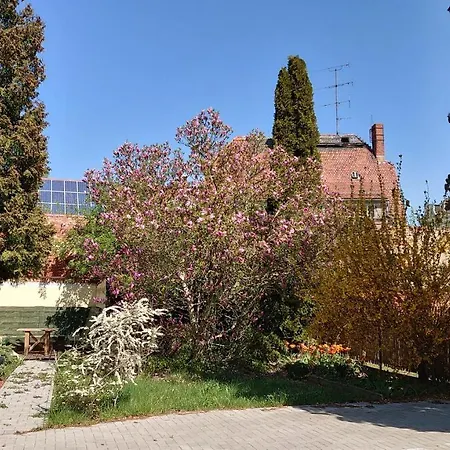 Alte Baeckerei - 04 #business# Im Zentrum, Mit Parkplatz, Ausgestattet Apartman